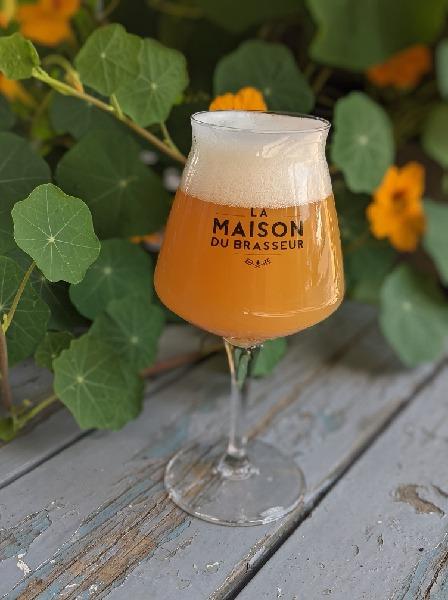 Photo produit/service (2)